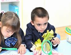 Laurus International School of Science