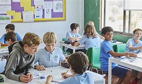 The Olive Tree School